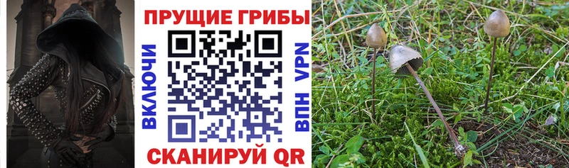 Псилоцибиновые грибы мухоморы  Купить  Александровск 